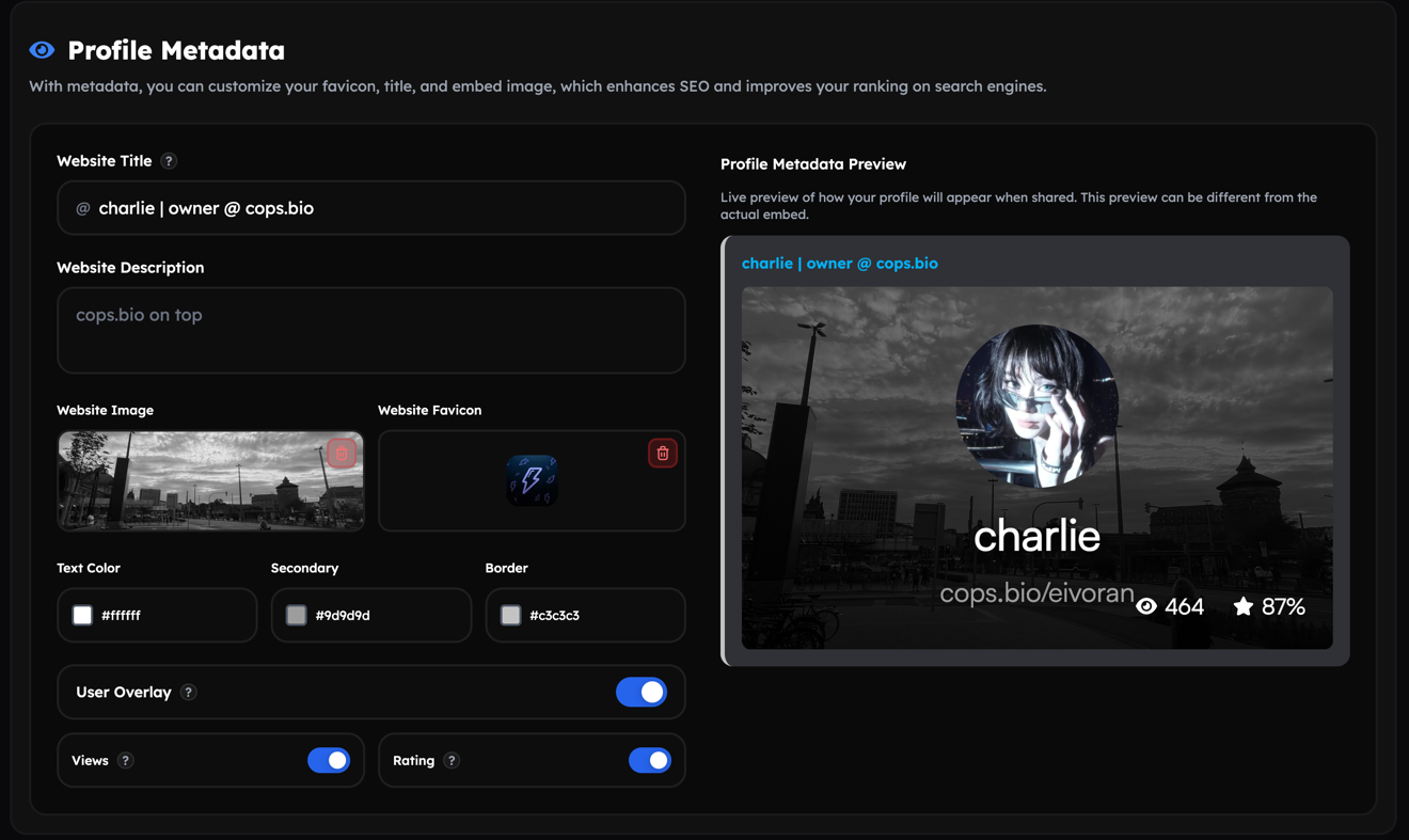 Profile Metadata editor